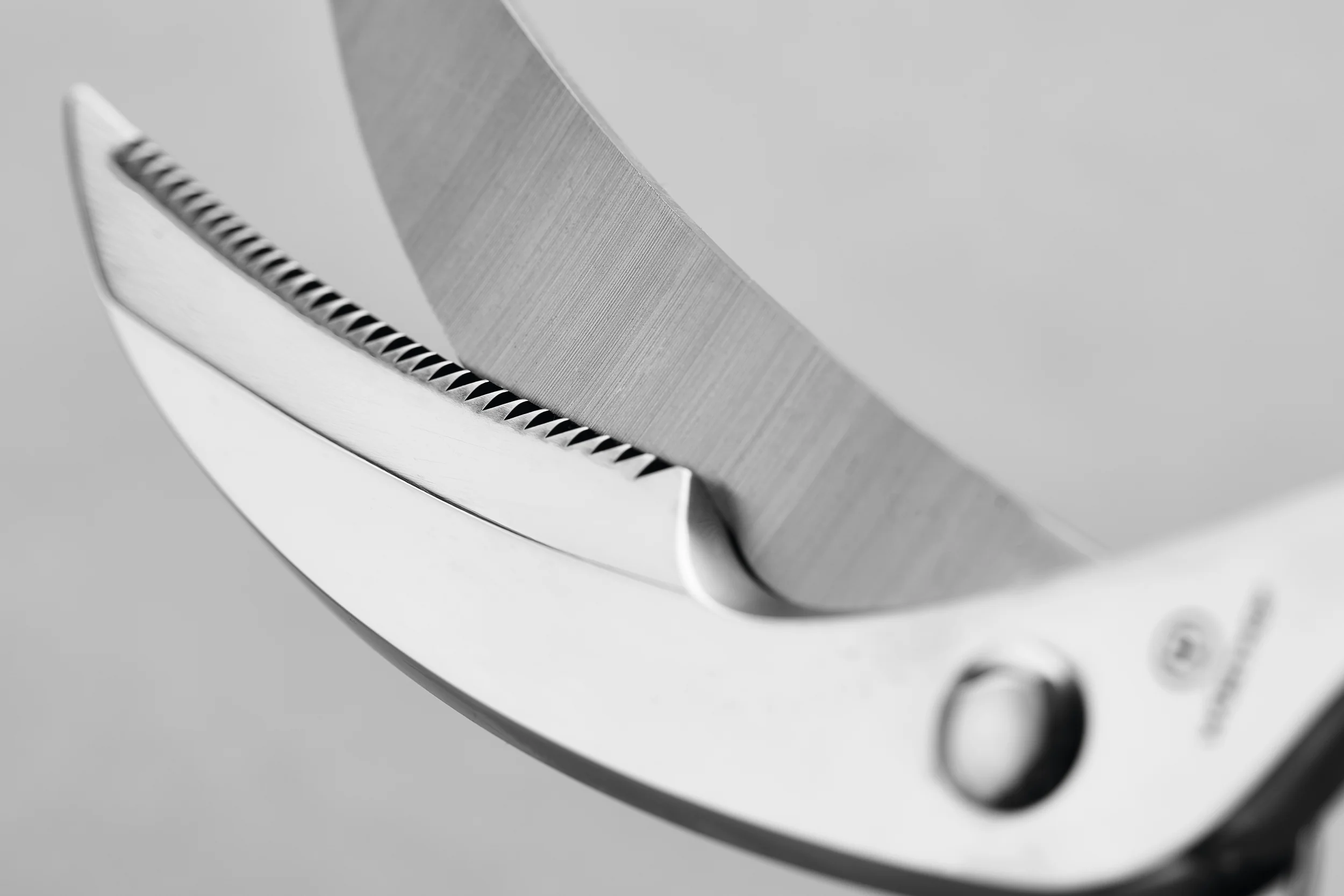 10" Stainless Steel Poultry Shears - Image 4