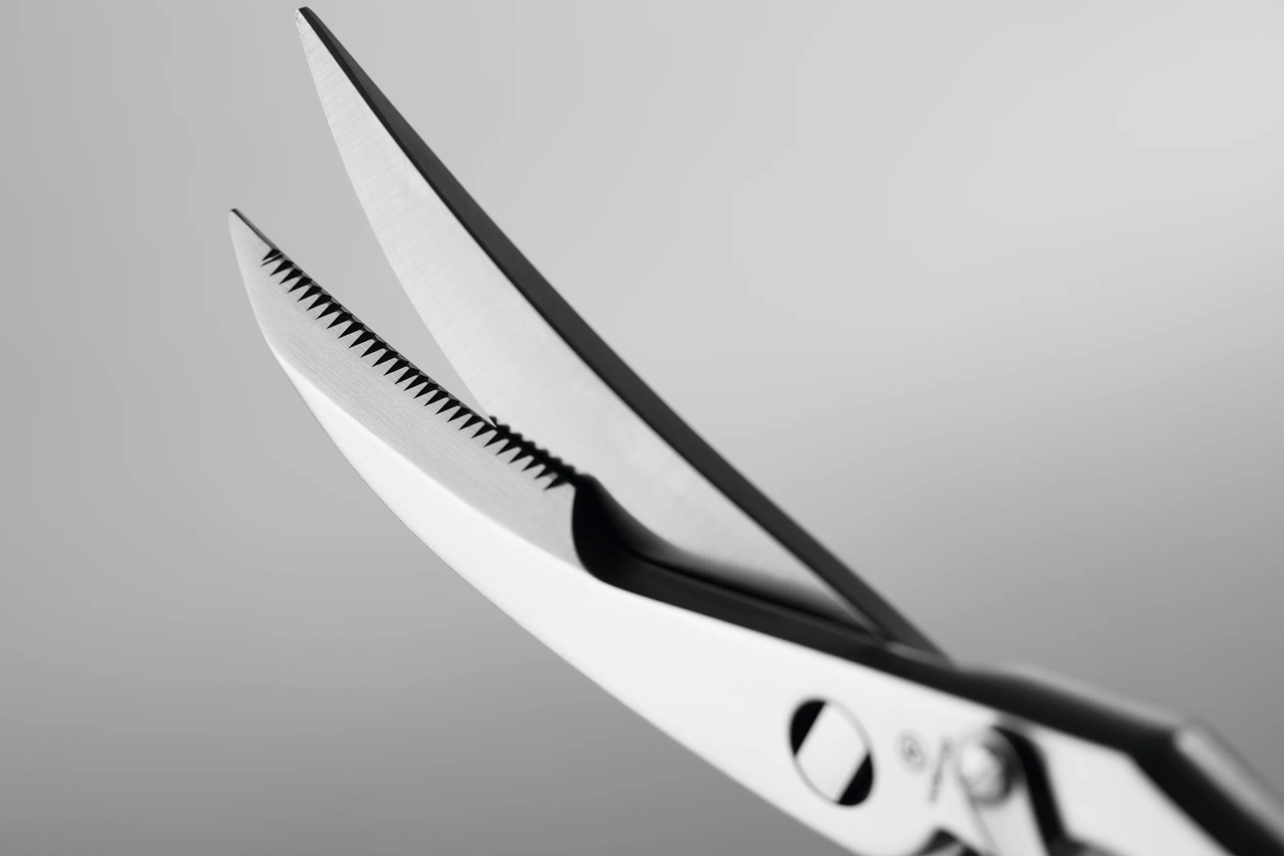 9" Stainless Steel Poultry Shears - Image 5