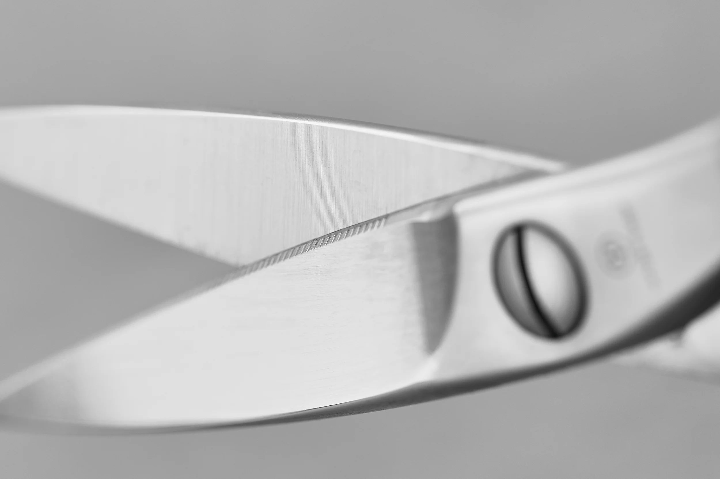 Brushed Stainless Kitchen Shears - Image 3