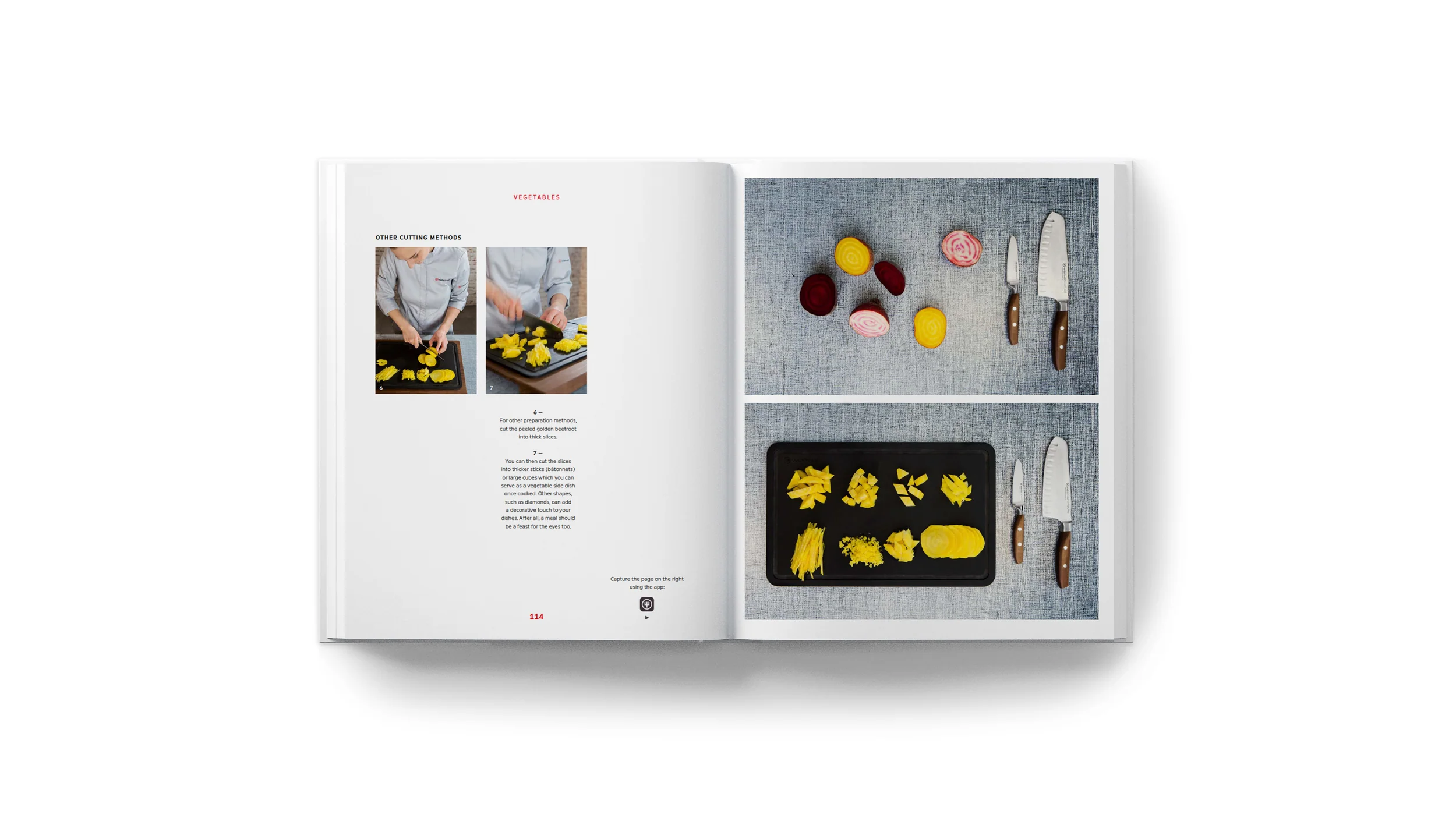 Knives: Beyond Blades - Image 11