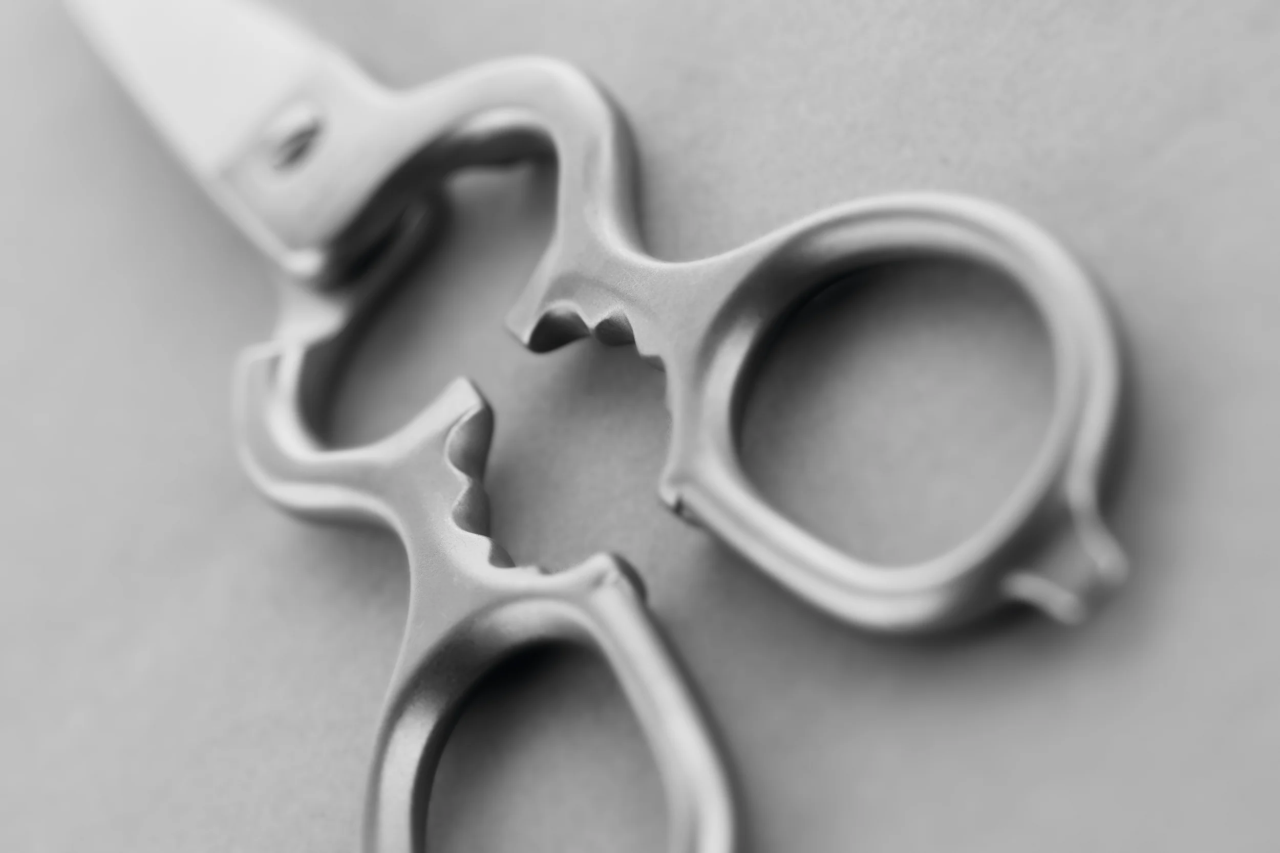 Stainless Kitchen Shears - Image 3