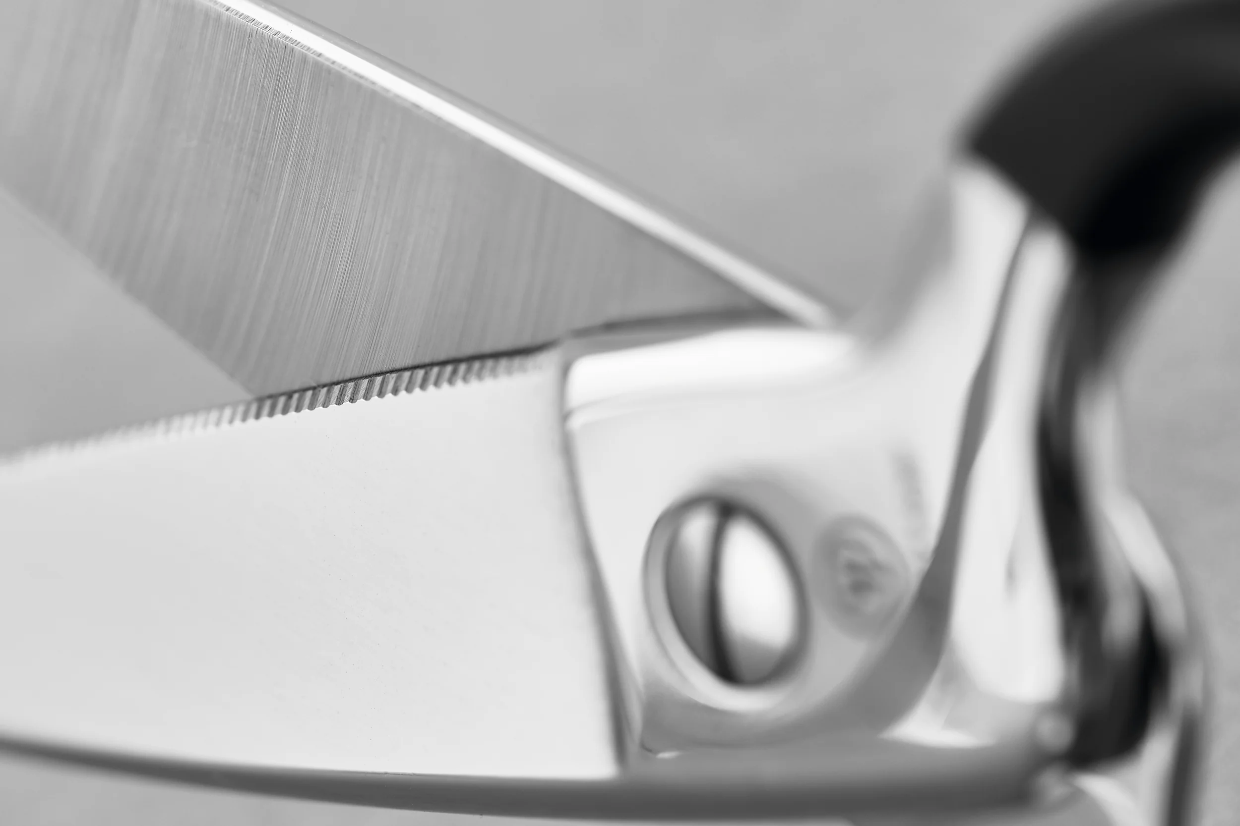 Stainless Kitchen Shears with Synthetic Grips - Image 4